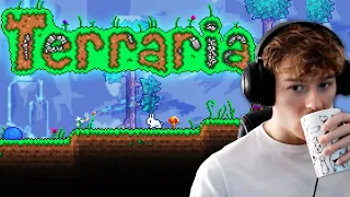 First Time Playing Terraria