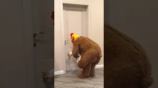 Tanya helps a big fat shaggy chicken and feeds hungry fox