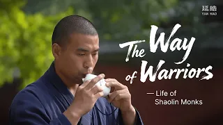 [ENG SUB]The Way of Warriors — Life of Shaolin Monks#yanhao #shaolin #shaolinkungfu #ufc #brucelee