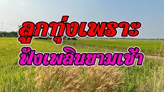 เพลงลูกทุ่งฟังเพราะยามเช้า