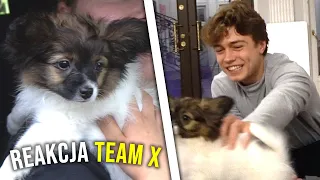 REAKCJA TEAMU X NA NOWEGO PSA!