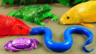 The Secret Life Beneath the Mud: Koi Fish, Crabs, Frog & Eels on a Wild Journey | Stop Motion ASMR