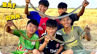 Anh Ba Phải | Sinh Tồn Bắt Chuột - Bắt Được Cặp Rắn Siêu Khủng