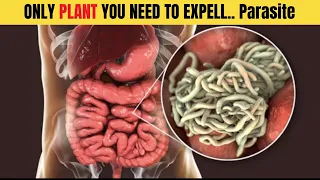 Only 2 Spoons... Expels All Worms and Parasites from Your Body