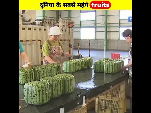 दुनिया के 3 सबसे Expensive Fruits 🍇 | Facts | #shorts #viralshorts