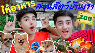 ให้อาหาร..สวนสัตว์บ้านเรา🐶🐹🐢🐟🐡