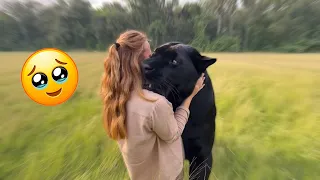 Animals Remember the Ones They Love… These Moments Say Everything