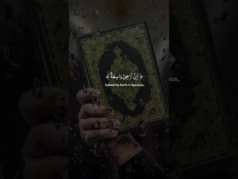 Quran Recitation || Good morning || Quran Whatsapp status | quran verses#quran  #islamicstatus
