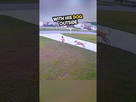 brave dog.. ❤️