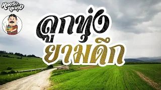 📌ลูกทุ่งยามดึก [ ผู้แพ้รัก , มีเมียเด็ก ]