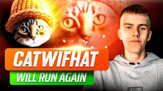 $CWIF Why Am I So Bullish On This CAT Based MEMECOIN?! | CatWifHAT Review