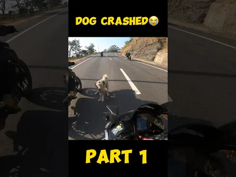 DOG LIVE CRASHED WITH BIKER😭..PAIR TOOT GAYA#modified #rr310 #rider #kawasaki #zx6r #monsterenergy