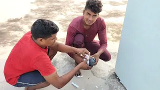 पक्षी के पंख में कीडा लग गया था उसका  इलाज कर दिया  दिया सैफटी के साथ