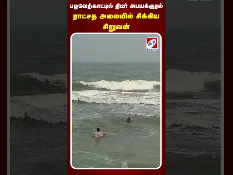 பழவேற்காட்டில் திடீர் அபாயக்  குரல் - அலையில் சிக்கிய சிறுவன் - இமைக்கும் நொடியில் நடந்த விபரீதம்