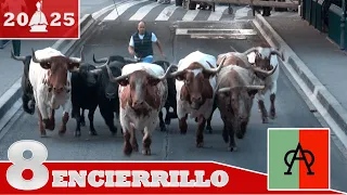 LO QUE MUCHOS NO VEEN DE SAN FERMIN 👀 - ÚLTIMO ENCIERRILLO CON TOROS DE MIURA - 13/07/2025 - 4K