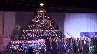 Sing Christmas tree 2023