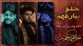 مرتضى حرب|| حلو بيارغهم || محرم  1440 هجري 2018 م