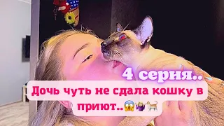 КринШовая семья - 4 серия - "Бесполезное воспитание"