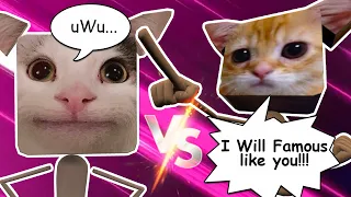 When Beluga meet El Gato (elgato vs beluga)