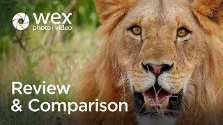 Review | Ellie Rothnie on the @CanonEurope EOS R5 MK II and EOS R1 | Kenya on Safari