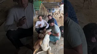 सेवा का नया रूप जो अमेरिका से खींच लाया🙏