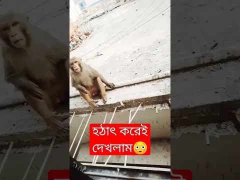 #holytune #kolorob #viral #আরবী_শিক্ষা #quran #religion #valentinesday #duet #feb12 #shortvideo