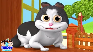 Billi Karti Meow Meow, म्याऊं म्याऊं बिल्ली करती, Kids Rhyme & Song in Hindi