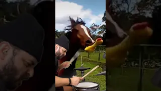 The Horse that chews a rubber chicken #funny #animals #awesome