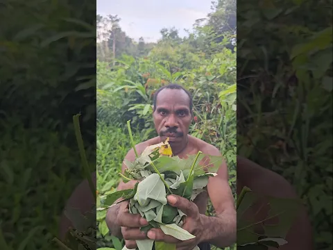 Shampoo 🫧🌿#plant #natural #shower #korowai #papua