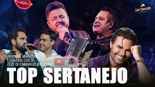 T.O.P SERTANEJO 2021🎵 As Melhores Sertanejo Universitário 2021 - 2022 | Musicas Ano