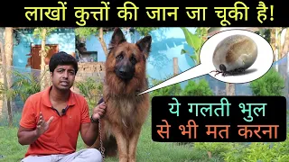 Never remove TICKS from your DOG without watching this video. || Tick fever in dog full information