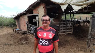 COMPREI MAIS ALGUNS BOIS