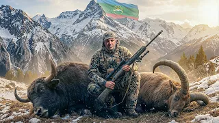 Трофейная охота на Кавказе 🐂 Тур, Гибрид и Дикий Як #охота