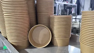 Fully Disposable Salad Kraft Paper Bowl Making Machine