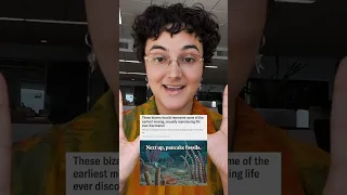 What's new in science?