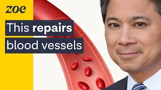 Heart expert: dementia may start in your blood vessels — here’s how to prevent it. | Dr. William Li