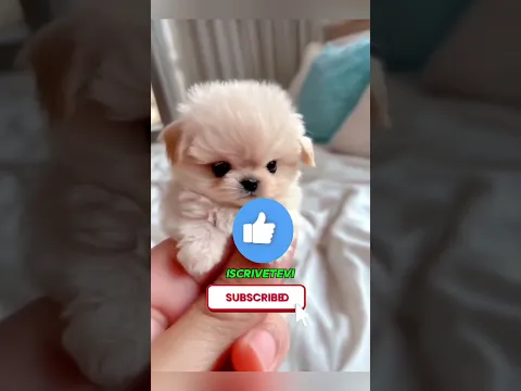 La sua insegnante non si sarebbe mai aspettata questo piccolo regalo! 😭🎁 #viral #shorts