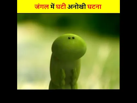 जंगल की अनोखी घटना | कीड़ा बना सुंदर तितली | #shorts #short