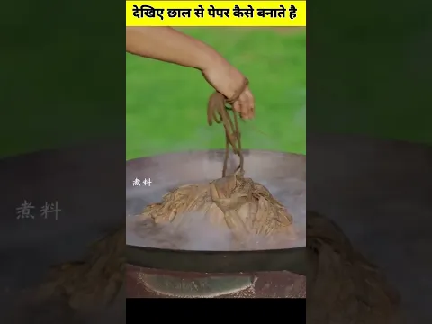 देखिए छाल से पेपर कैसे बनाए जाते है!!😱#short by vinay rajak