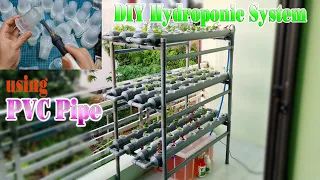 DIY Hydroponic System at Home Using PVC Pipe – Easy Tutorial