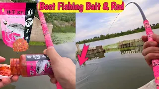 Amazing Carp Fish Bait For Fishing Competition With Best Fishing Rod।