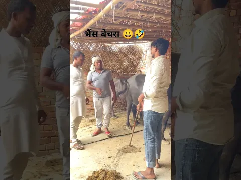 भैंस बेचरा||#youtubeshort video#viralvideo#funny 😂😀🤣 comedy video#entertainment#motivation