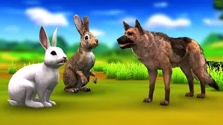 दो चालाक खरगोश और कुत्ता Two Clever Rabbits and Dog Hindi Kahaniya 3D Panchatantra Stories in Hindi