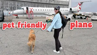 Travel day vlog with Adria & Oatmeal (flying with dogs in cabin!)