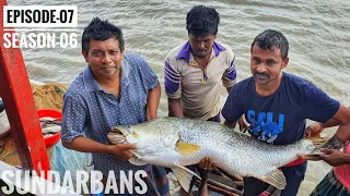ছোট্ট খালে আটক বিশাল পাতারি মাছ | সুন্দরবন | সিজন ০৬ | পর্ব ০৭ | Sundarbans | Mohsin ul Hakim