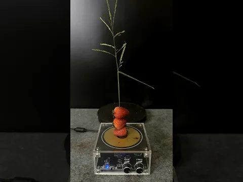 LIGHTNING + STRAWBERRY + PLANTS #experiment #teslacoil #shorts