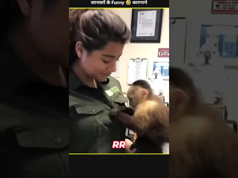 Animals Funny Video 😂|| #funnyfails #animals #shorts