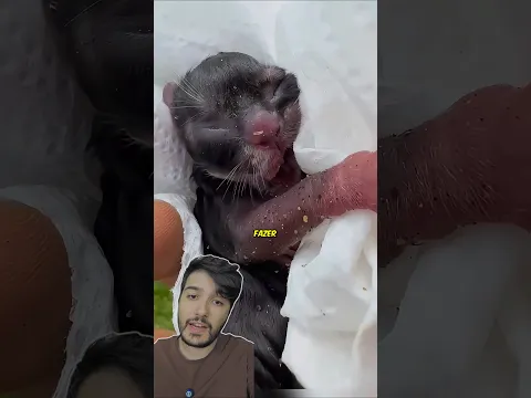 Confundiu a PANTERA com um GATINHO! 😱