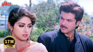 Mr.Bechara Full Movie | Sridevi And Anil Kapoor Hindi Romantic Movie | Superhit Hindi Movie