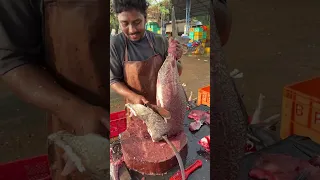 VIBE STYLE is live! Fish cutting